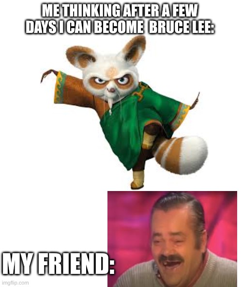 fight | me thinking after a few days i can become  bruce lee:; My friend: | image tagged in funny memes | made w/ Imgflip meme maker