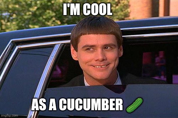 Cool | I'm cool; As a cucumber 🥒 | image tagged in cool and stupid,funny memes | made w/ Imgflip meme maker