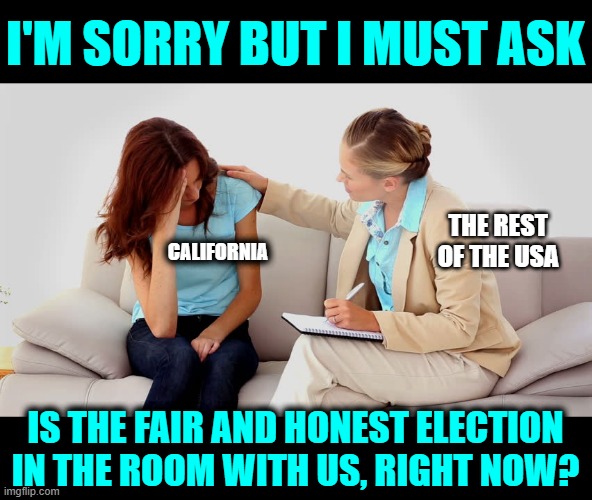 Perhaps an Intervention might be Helpful | I'm sorry but I must ask; The rest of the USA; California; is the fair and honest election in the room with us, right now? | image tagged in therapist | made w/ Imgflip meme maker