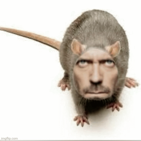 Dr. Mouse | image tagged in dr house | made w/ Imgflip images-to-gif maker