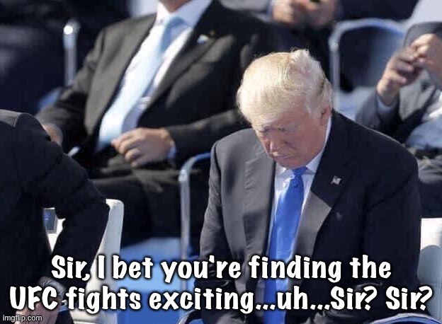 Cost $millions to stage this and he falls asleep... | Sir, I bet you're finding the UFC fights exciting...uh...Sir? Sir? | image tagged in trump sleeping | made w/ Imgflip meme maker