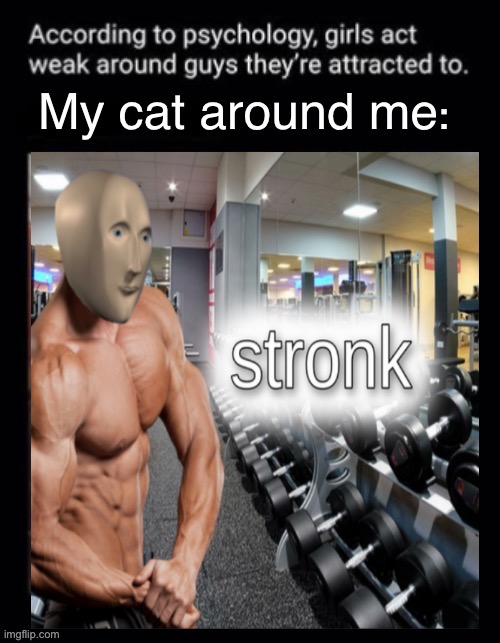 image tagged in funny | made w/ Imgflip meme maker