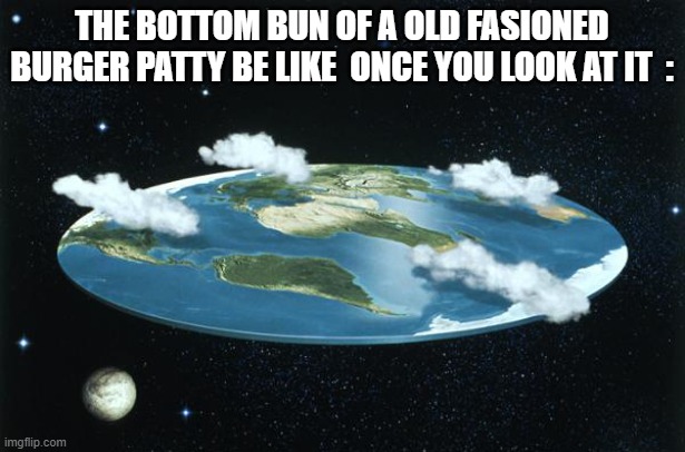 another meme about those paties | THE BOTTOM BUN OF A OLD FASIONED BURGER PATTY BE LIKE  ONCE YOU LOOK at it  : | image tagged in flat earth,true,facts | made w/ Imgflip meme maker