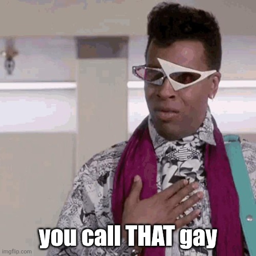 When something is only pretending to be gay | you call THAT gay | image tagged in df78aseroa491 jpg,gay,lame | made w/ Imgflip meme maker