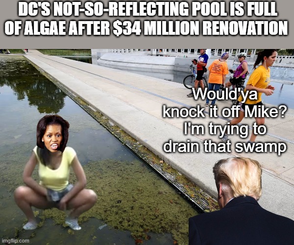 Ooops. Should've been Barry squatting | DC's not-so-reflecting pool is full of algae after $34 million renovation; Would'ya knock it off Mike? I'm trying to drain that swamp | image tagged in trump drain swamp meme | made w/ Imgflip meme maker