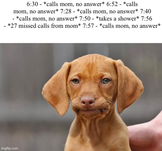 . | 6:30 - *calls mom, no answer* 6:52 - *calls mom, no answer* 7:28 - *calls mom, no answer* 7:40 - *calls mom, no answer* 7:50 - *takes a shower* 7:56 - *27 missed calls from mom* 7:57 - *calls mom, no answer* | image tagged in unamused dog,memes,funny,oh wow are you actually reading these tags | made w/ Imgflip meme maker