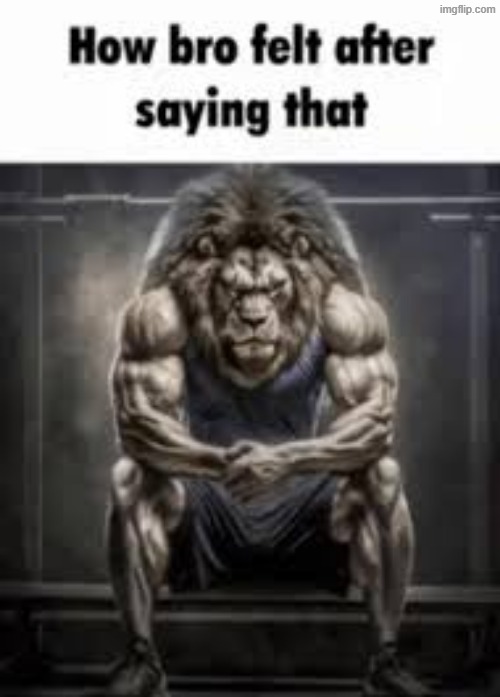 How bro felt after saying that | image tagged in how bro felt after saying that | made w/ Imgflip meme maker