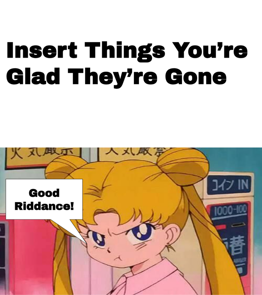 usagi said good riddance to who ? Blank Meme Template