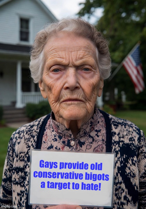 Gays provide old 
conservative bigots
a target to hate! | made w/ Imgflip meme maker