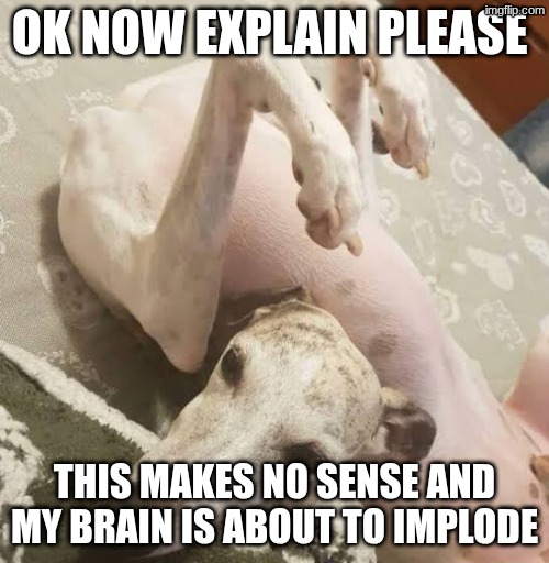 MY BRAIN IS HURTING | ok now explain please; this makes no sense and my brain is about to implode | image tagged in help,braingoboom,what,how,why | made w/ Imgflip meme maker