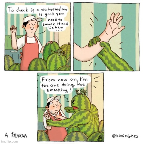 Bad Watermelon | image tagged in bad,watermelons,watermelon,comics,comics/cartoons,fruit | made w/ Imgflip meme maker