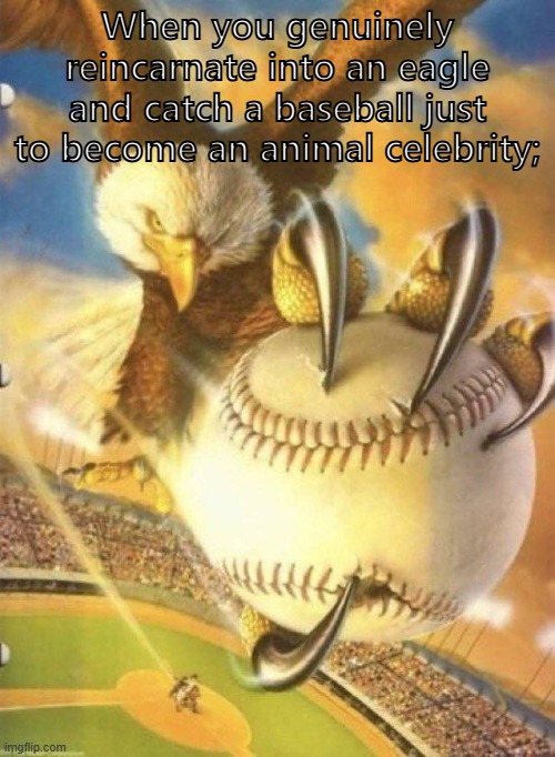 Bald eagle catching a baseball | When you genuinely reincarnate into an eagle and catch a baseball just to become an animal celebrity; | image tagged in bald eagle catching a baseball | made w/ Imgflip meme maker