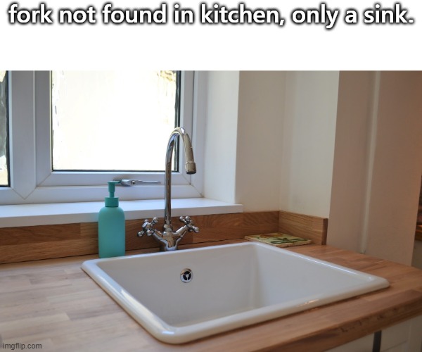 Kitchen Sink | fork not found in kitchen, only a sink. | image tagged in kitchen sink | made w/ Imgflip meme maker