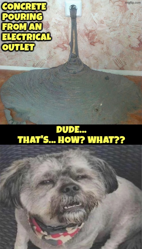 Concrete pouring from an electrical outlet? Dafuq? | Concrete pouring from an electrical outlet; Dude... That's... How? What?? | image tagged in dude wtf,how did this happen,reactions,dogs,facial expressions,concrete | made w/ Imgflip meme maker