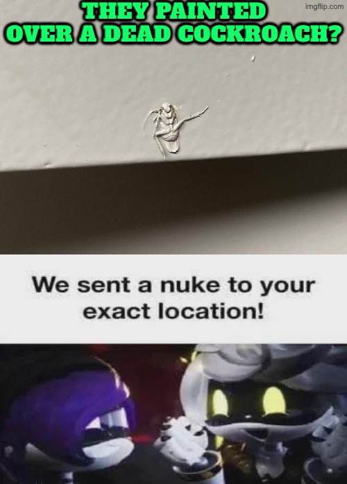 Painted Cockroach? Who would do that? | They painted over a dead cockroach? | image tagged in cockroaches,just why,excuse me wtf,nuke,reactions,laziness | made w/ Imgflip meme maker