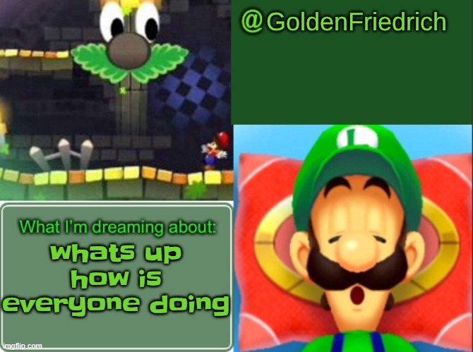GoldenFriedrich dreamy luigi temp (thx yakko) | whats up how is everyone doing | image tagged in goldenfriedrich dreamy luigi temp thx yakko | made w/ Imgflip meme maker
