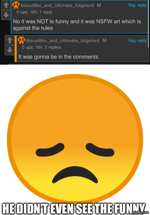 He just not approved because no DIDNT felt like it alsjfndkdojdfnnfrjfn | He didn’t even see the funny | image tagged in sad emoji | made w/ Imgflip meme maker