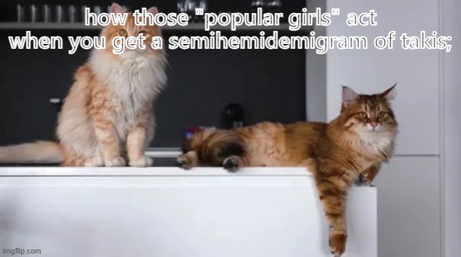 what the fuh | how those "popular girls" act when you get a semihemidemigram of takis; | image tagged in cats on kitchen counter | made w/ Imgflip meme maker