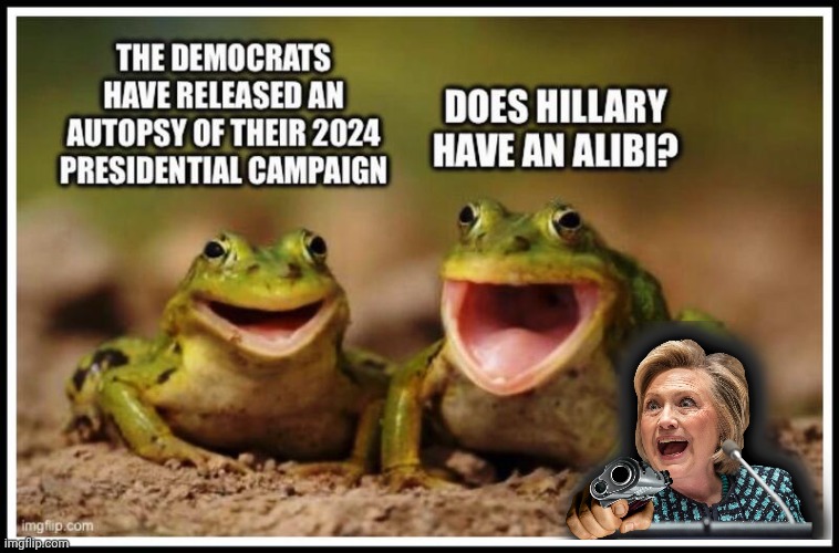 Did Evil Hillary  alibi | image tagged in img 28 jpeg,ugly hillary clinton | made w/ Imgflip meme maker