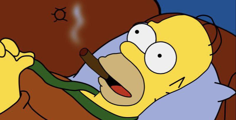Homer Everyone is stupid except me uncaptioned Blank Meme Template