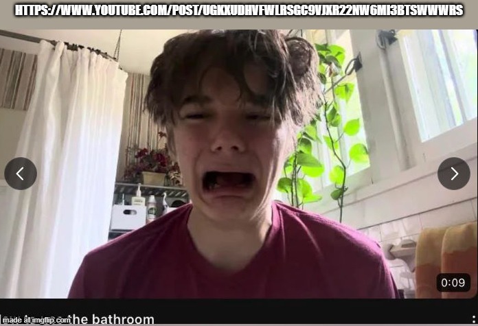 How to use the bathroom | https://www.youtube.com/post/UgkxUDHVfwlrsGC9VJXR22nW6mi3btsWWwRS | image tagged in how to use the bathroom | made w/ Imgflip meme maker
