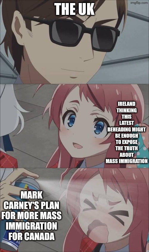 STARMER! DO NOT REDEEM! WHY DID YOU REDEEM IT STARMER! | The UK; Ireland thinking this latest beheading might be enough to expose the truth about mass immigration; Mark Carney's plan for more mass immigration for canada | image tagged in anime spray,islam,immigration,government corruption | made w/ Imgflip meme maker