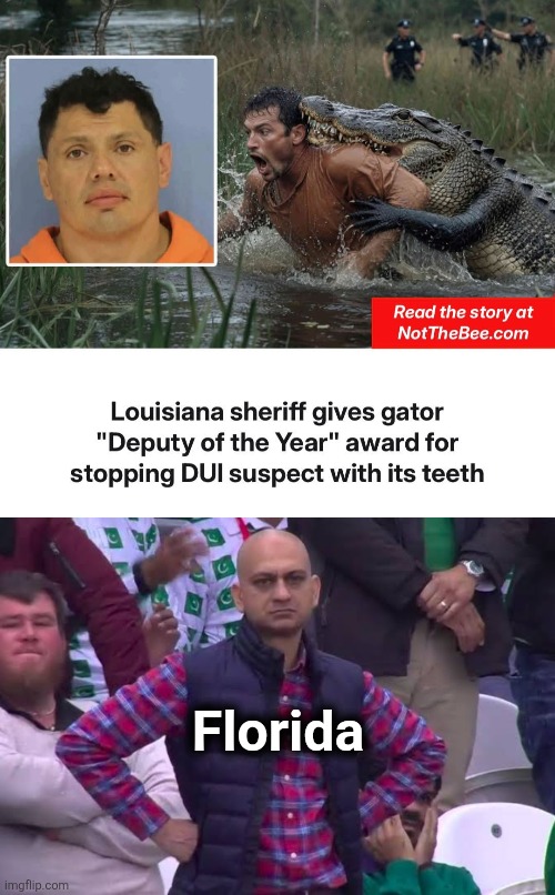 Usually a Florida kind of story | Florida | image tagged in disappointed man,memes,florida,alligator,louisiana,deputy of the year | made w/ Imgflip meme maker