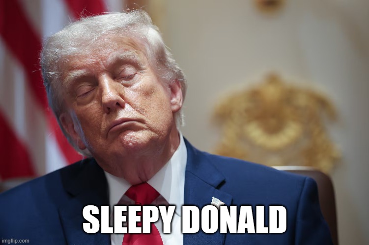 Sleepy Donald | Sleepy Donald | image tagged in sleepy donald,politics,trump,funny,sleep | made w/ Imgflip meme maker