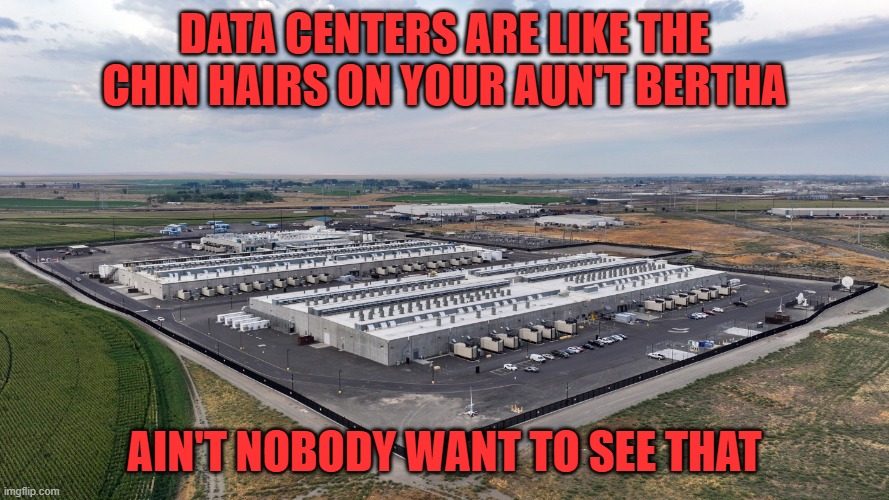 Ain't Nobody Want To See That | Data Centers are like the Chin Hairs on your aun't Bertha; Ain't nobody want to see that | image tagged in data center | made w/ Imgflip meme maker