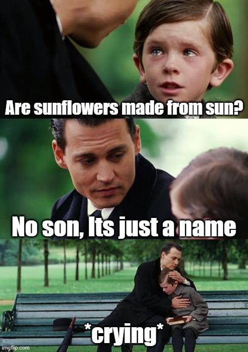 Sunflower truth | Are sunflowers made from sun? No son, Its just a name; *crying* | image tagged in memes,finding neverland,sun,sunflower | made w/ Imgflip meme maker