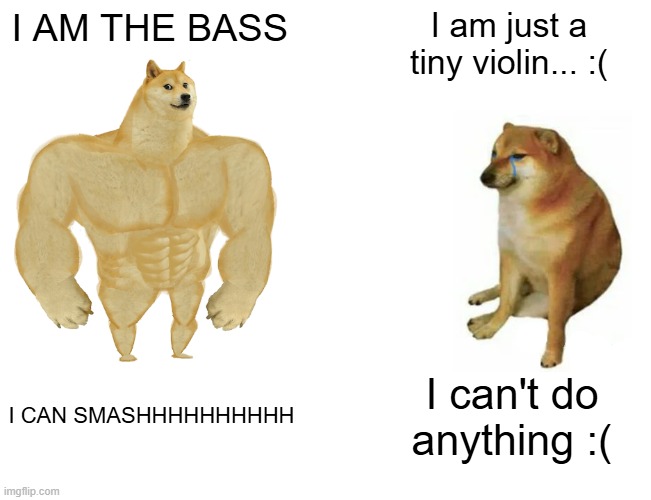 Bass vs Violin battle | I AM THE BASS; I am just a tiny violin... :(; I CAN SMASHHHHHHHHHH; I can't do anything :( | image tagged in memes,buff doge vs cheems,orchestra,bass,violin,music | made w/ Imgflip meme maker