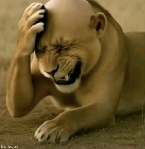 Bald lion | image tagged in bald lion | made w/ Imgflip meme maker