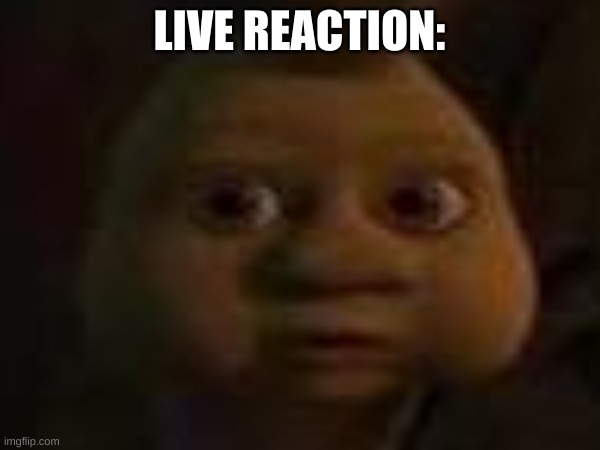 live reaction: | made w/ Imgflip meme maker