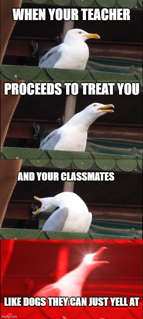 do not treat students like they're dogs! | when your teacher; proceeds to treat you; and your classmates; LIKE DOGS THEY CAN JUST YELL AT | image tagged in memes,inhaling seagull,school,i hate school,teacher | made w/ Imgflip meme maker