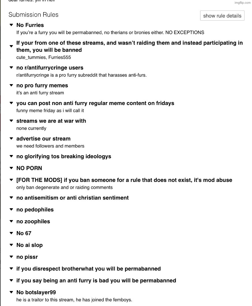 the rules for the anti furry corps stream are so corny bro | made w/ Imgflip meme maker