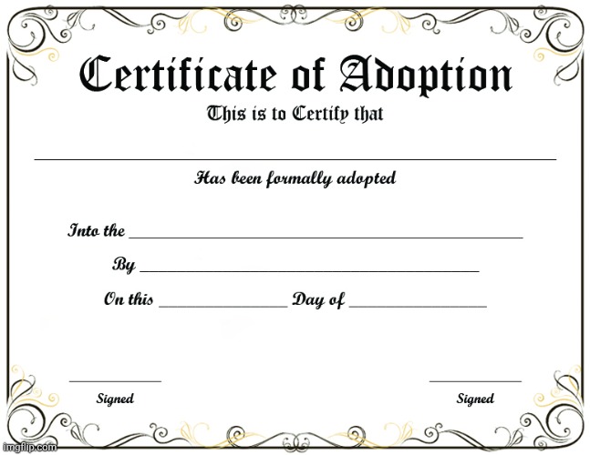 image tagged in certificate of adoption | made w/ Imgflip meme maker