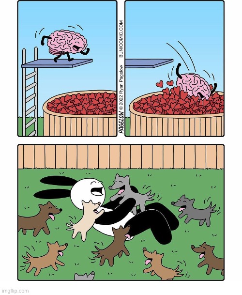 Buni Comics | image tagged in comics,buni comics,brain,happiness,love,puppies | made w/ Imgflip meme maker