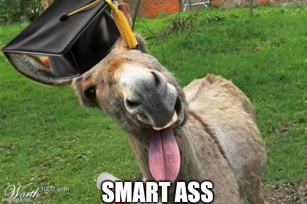 Laughing Donkey | smart ass | image tagged in laughing donkey | made w/ Imgflip meme maker