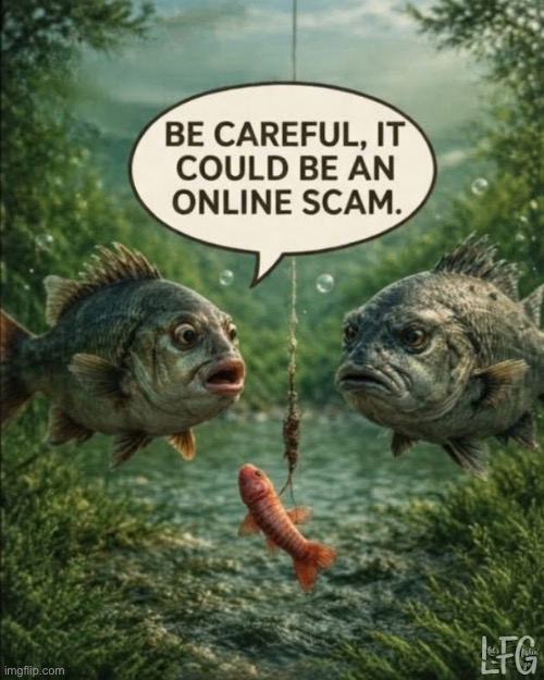 A fishing scam? | image tagged in repost,fish,fishing line,lure,be careful,online scam | made w/ Imgflip meme maker
