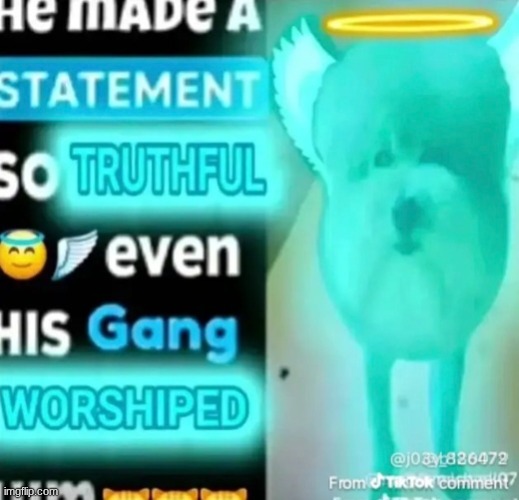 he made a statement so truthful even his gang worshiped him | image tagged in he made a statement so truthful even his gang worshiped him | made w/ Imgflip meme maker