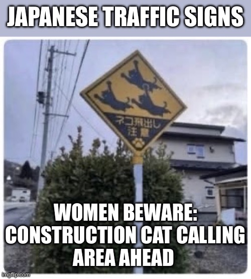 Rost In Transration | Japanese Traffic Signs; Women Beware:
Construction Cat Calling
Area Ahead | image tagged in japan,road sign,cat call,construction | made w/ Imgflip meme maker