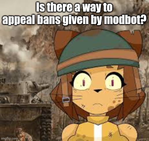 Kit 1000 yard stare | Is there a way to appeal bans given by modbot? | image tagged in kit 1000 yard stare | made w/ Imgflip meme maker