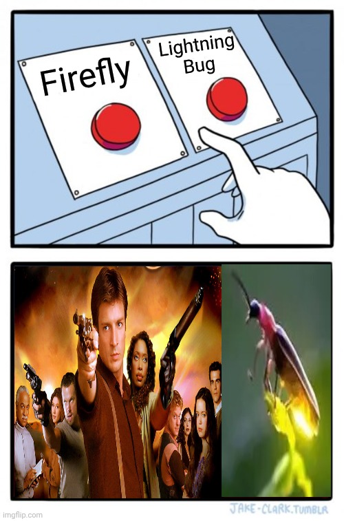 Firefly Of Course | Lightning Bug; Firefly | image tagged in memes,two buttons,firefly,lightning bug,insects,nathan fillion | made w/ Imgflip meme maker