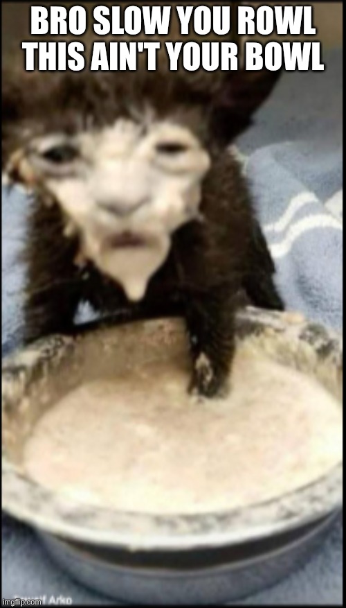 Warned you boy | bro slow you rowl this ain't your bowl | image tagged in screenshot 2026-05-14 5 03 57 pm png | made w/ Imgflip meme maker