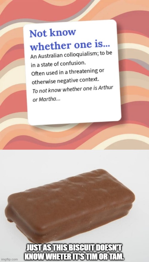 just as this biscuit doesn't know wheter it's Tim or tam. | image tagged in colloquialism,tim tam | made w/ Imgflip meme maker