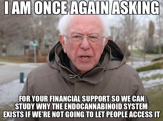 Bernie Sanders Once Again Asking