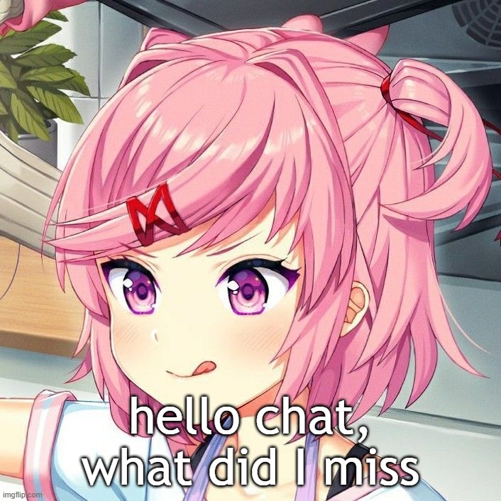 natsuki | hello chat, what did I miss | image tagged in natsuki | made w/ Imgflip meme maker