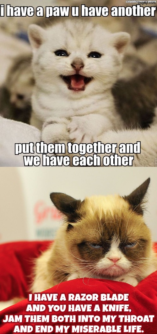 A Gloomy Rhyme From Miss Grump | I have a razor blade and you have a knife, jam them both into my throat and end my miserable life. | image tagged in cats,grumpy cat,rhymes,cute kittens,suicide,facial expressions | made w/ Imgflip meme maker