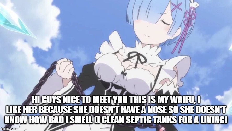 hey guys hope to meet some fellow anime likers | hi guys nice to meet you this is my waifu, I like her because she doesn't have a nose so she doesn't know how bad I smell (I clean septic tanks for a living) | image tagged in anime,rem,waifu | made w/ Imgflip meme maker