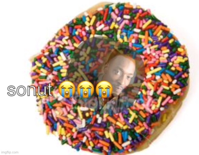 the validity of this one depends on if you spell it doughnut or donut | image tagged in sonut | made w/ Imgflip meme maker